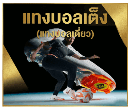 แทงบอลเดี่ยว